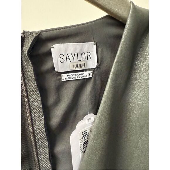 Saylor - Picture 8 of 10